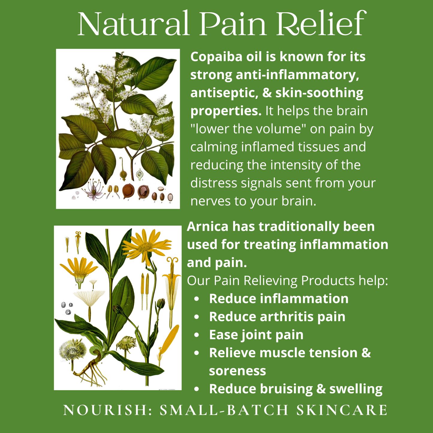 Pain Relieving Essential Roller | 5% Targeted Dilution