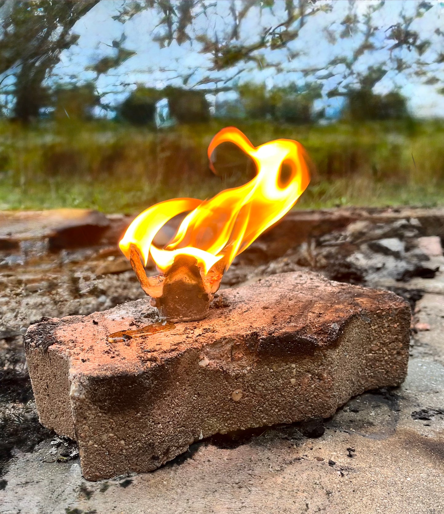 All Natural Fire Starters